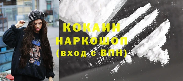 соль ск Алексин