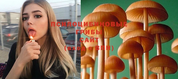 соль ск Алексин