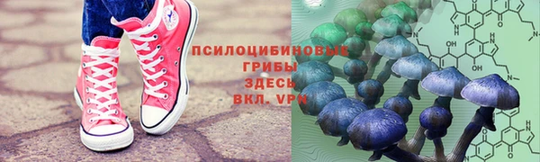 соль ск Алексин