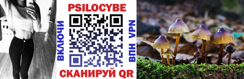 сколько стоит  Чаплыгин  Галлюциногенные грибы Magic Shrooms 